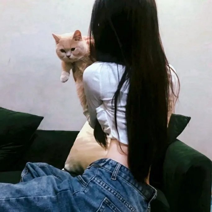 老师的椅子